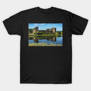 The Towers Of Caerphilly Castle T-Shirt